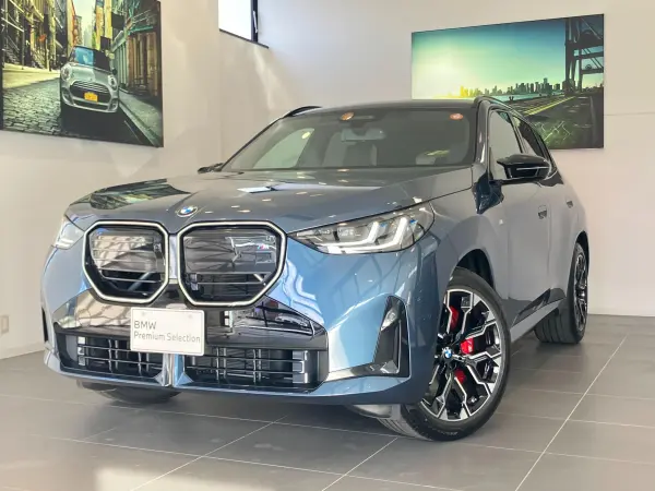 2025 Bmw X3 — photo 1