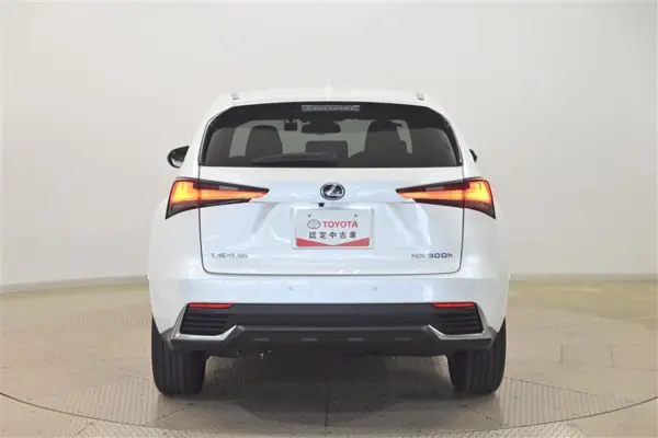 2021 Lexus Nx — photo 3 | Tuminion Kenya