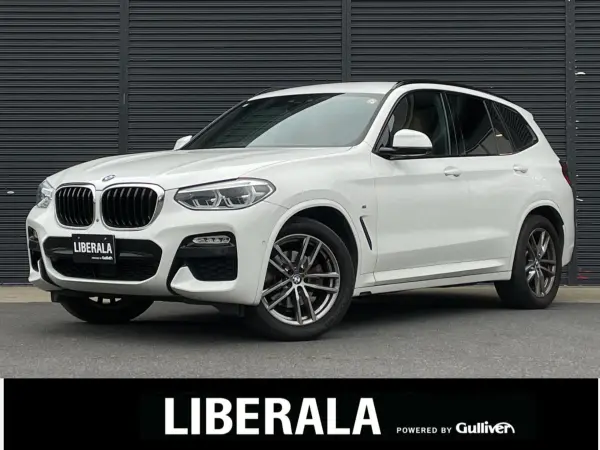 2019 Bmw X3 — photo 1