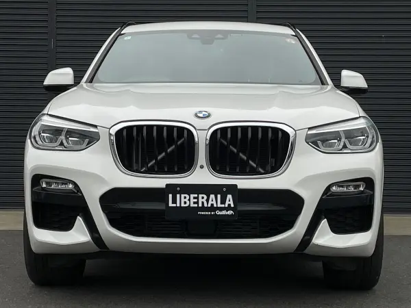 2019 Bmw X3 — photo 9 | Tuminion Kenya