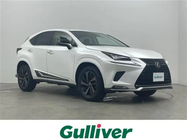 2019 Lexus Nx — photo 1