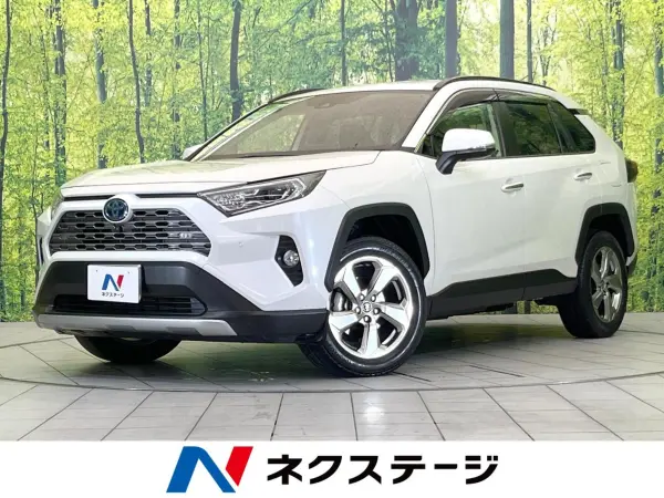 2020 Toyota  Rav4 — photo 1