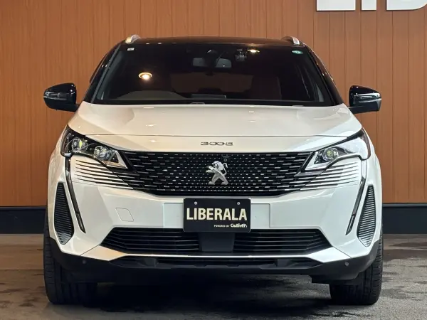2021 Peugeot 3008 — photo 9 | Tuminion Kenya