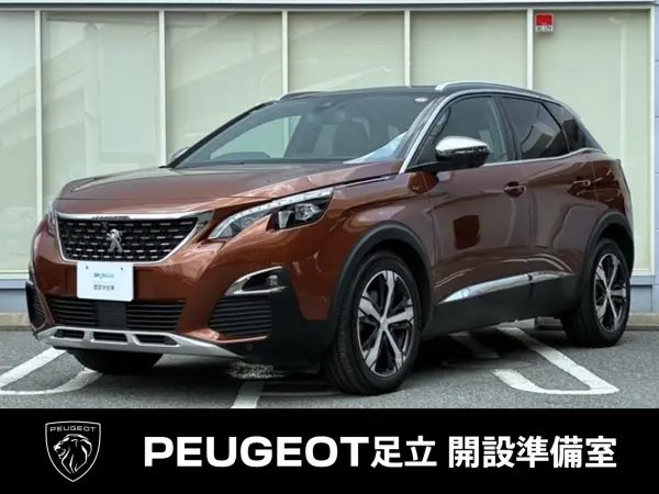2019 Peugeot 3008 — photo 1