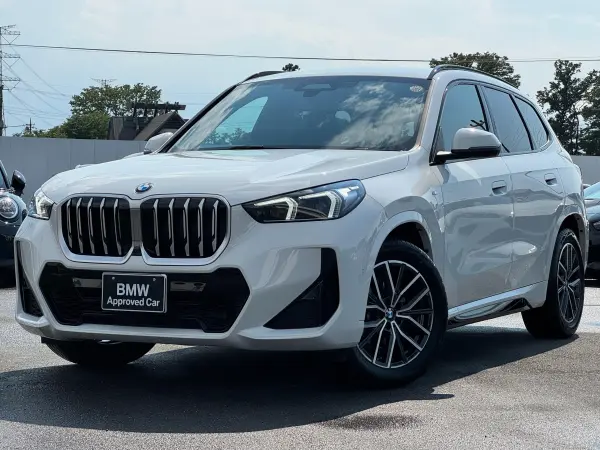 BMW X1 xDrive20d M Sport DCT Diesel Turbo 4WD