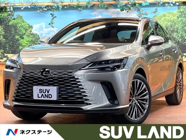 2025 Lexus Rx — photo 1