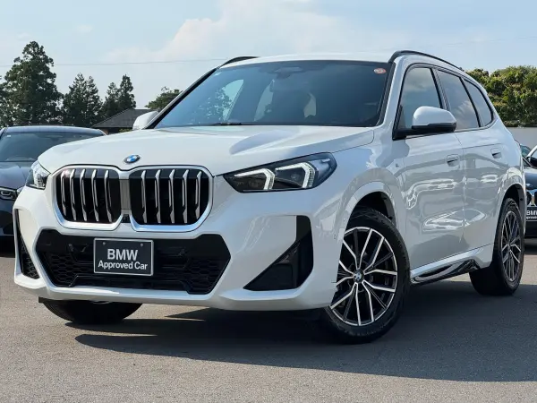 BMW X1 xDrive20d M Sport DCT Diesel Turbo 4WD