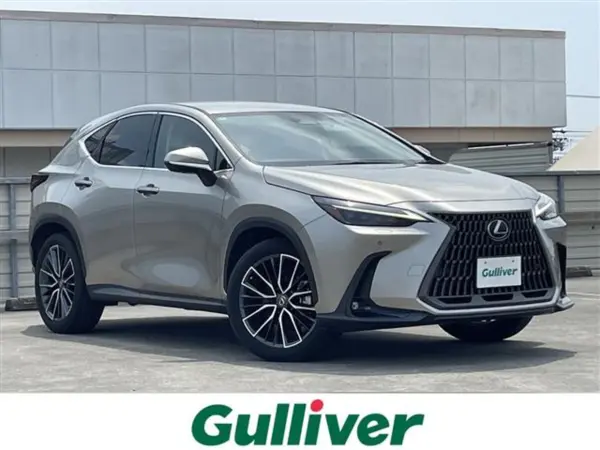 Lexus Lexus NX 2022