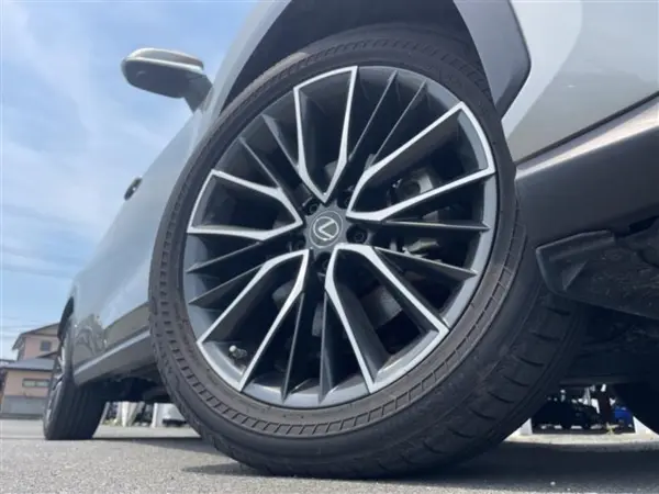 2022 Lexus Nx — photo 9 | Tuminion Kenya