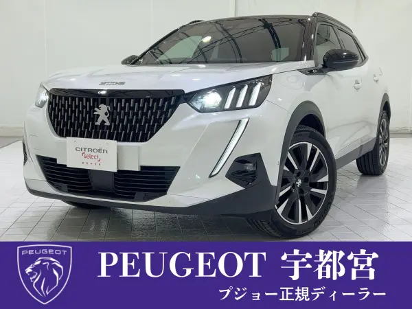 2021 Peugeot 2008 — photo 1