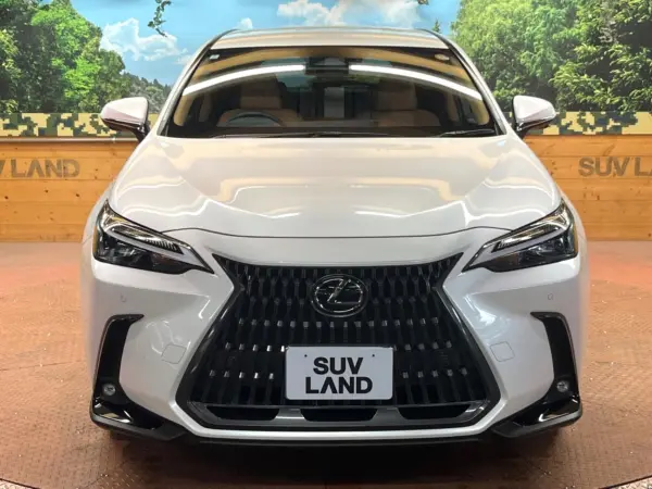 2024 Lexus Nx — photo 9 | Tuminion Kenya