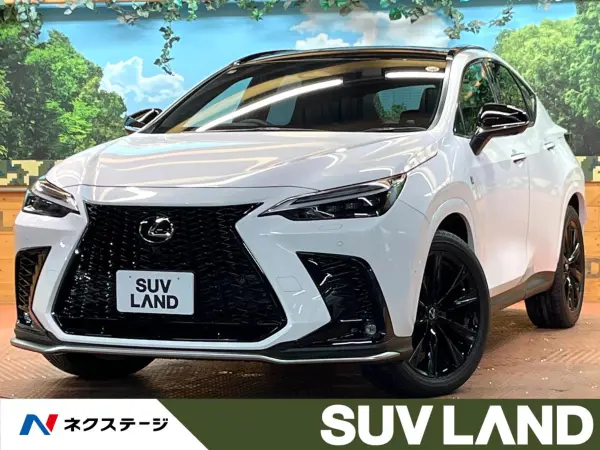2025 Lexus Nx — photo 1
