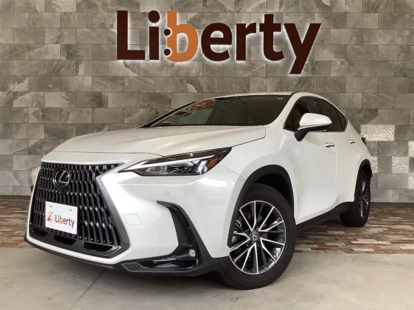 2024 Lexus Nx — photo 1