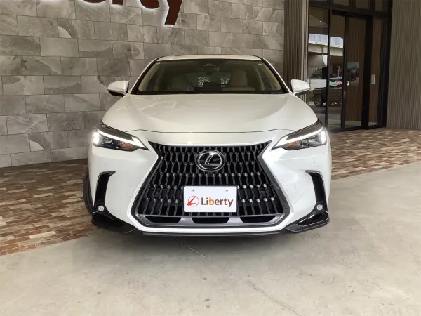 2024 Lexus Nx — photo 8 | Tuminion Kenya