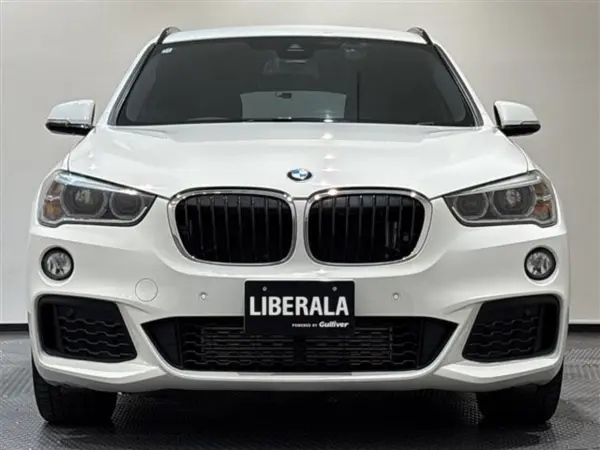 2018 Bmw X1 — photo 9 | Tuminion Kenya
