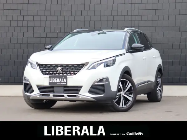 2019 Peugeot 3008 — photo 1