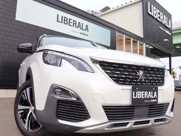 2019 Peugeot 3008 — photo 8 | Tuminion Kenya