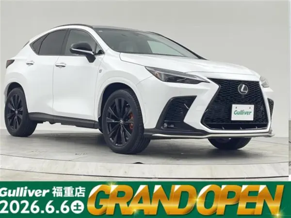 2022 Lexus Nx — photo 1