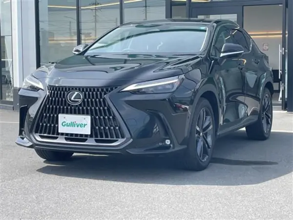 2024 Lexus Nx — photo 8 | Tuminion Kenya