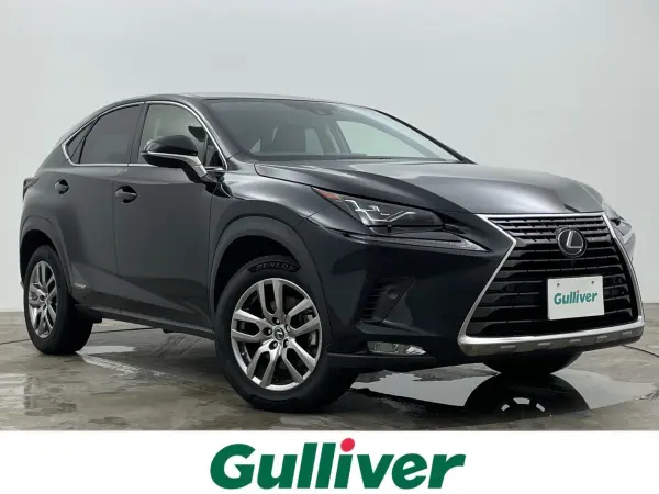 2020 Lexus Nx — photo 1