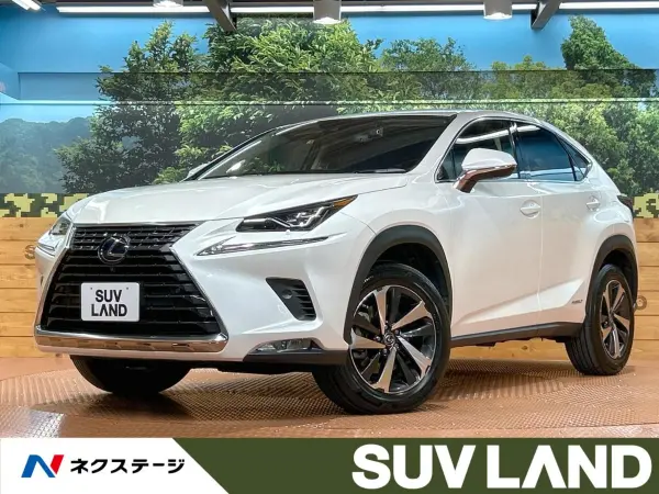 Lexus NX300h Version L