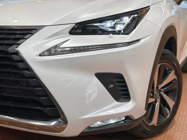 2021 Lexus Nx — photo 8 | Tuminion Kenya