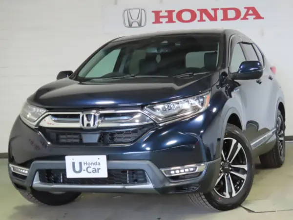 2019 Honda Cr-v — photo 1