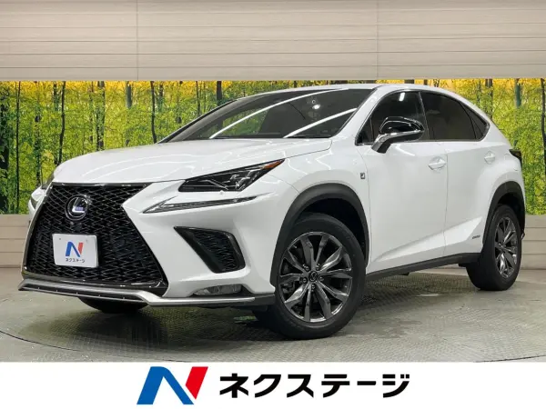 2020 Lexus Nx — photo 1