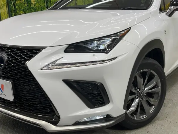 2020 Lexus Nx — photo 8 | Tuminion Kenya