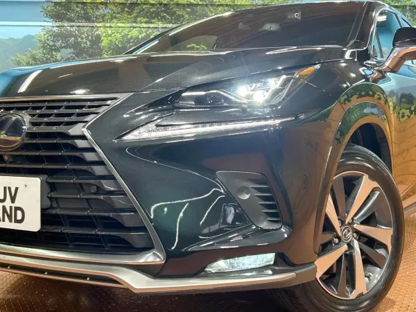 2020 Lexus Nx — photo 8 | Tuminion Kenya