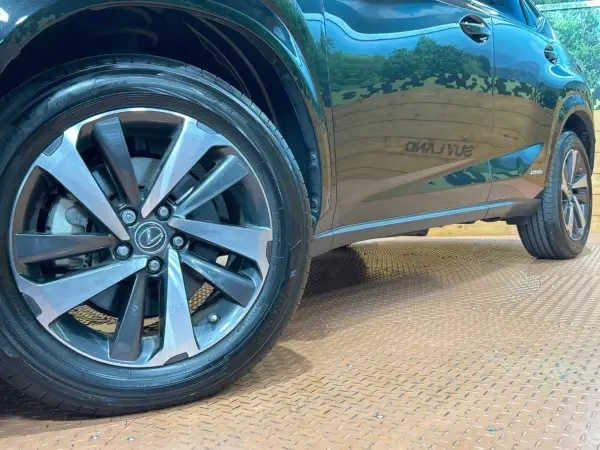 2020 Lexus Nx — photo 9 | Tuminion Kenya