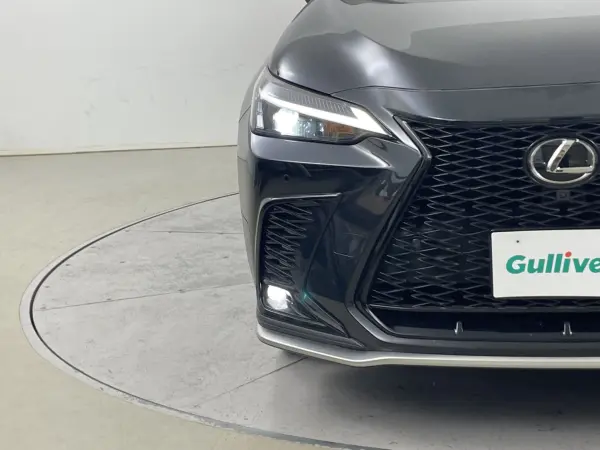 2023 Lexus Nx — photo 8 | Tuminion Kenya