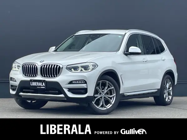 2019 Bmw X3 — photo 1