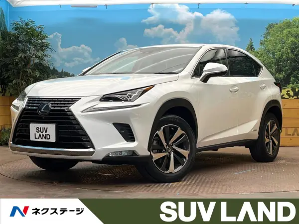 2020 Lexus Nx — photo 1