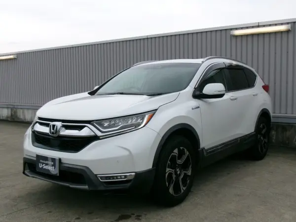 2019 Honda Cr-v — photo 1