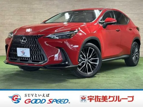 2021 Lexus Nx — photo 1