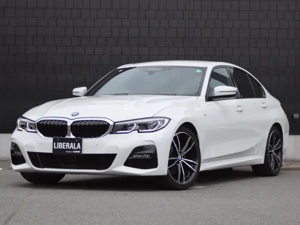 2019 Bmw 3 Series — photo 9 | Tuminion Kenya