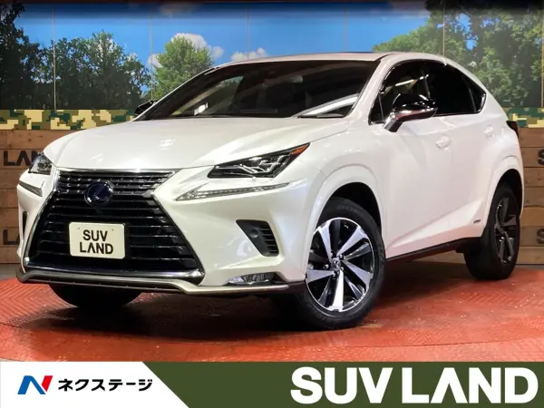 2020 Lexus Nx — photo 1