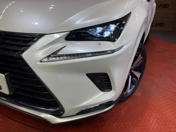 2020 Lexus Nx — photo 8 | Tuminion Kenya