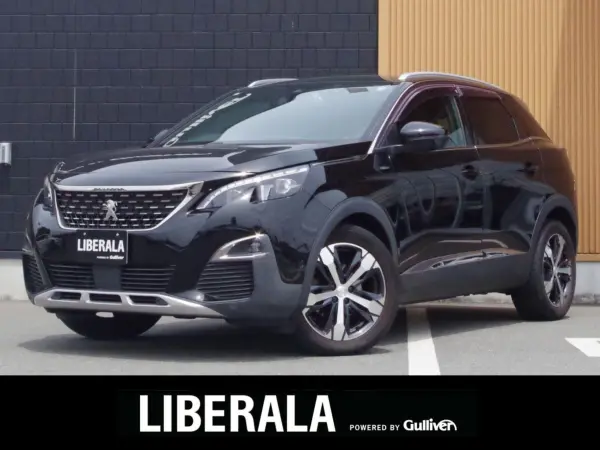 2019 Peugeot 3008 — photo 1