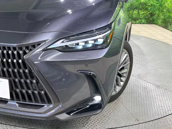 2023 Lexus Nx — photo 8 | Tuminion Kenya