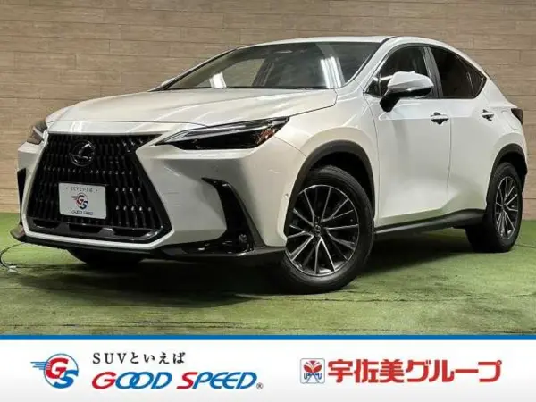 Lexus NX450h+ Version L 4WD Moonroof/360 Camera/Advanced Park/Hazel Interior/Digital Inner Mirror/BSM/14-inch Navigation/Seat Heater/Seat Cooler/Radar Cruise Control/Power Back Door (Sonic Quartz)