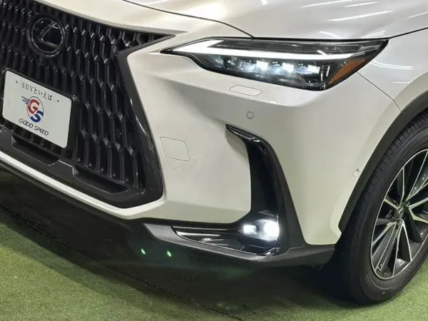 2023 Lexus Nx — photo 9 | Tuminion Kenya