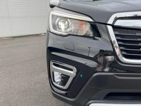 2019 Subaru Forester — photo 9 | Tuminion Kenya