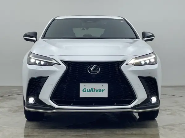2023 Lexus Nx — photo 8 | Tuminion Kenya