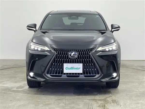 2023 Lexus Nx — photo 8 | Tuminion Kenya