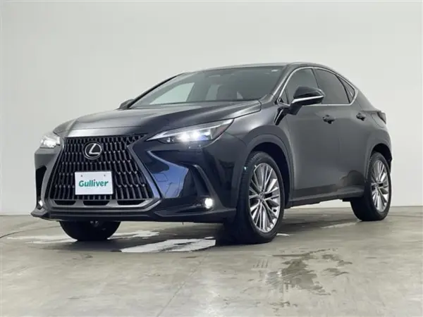 2023 Lexus Nx — photo 9 | Tuminion Kenya
