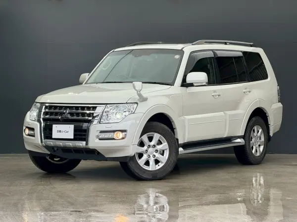2019 Mitsubishi Pajero — photo 1