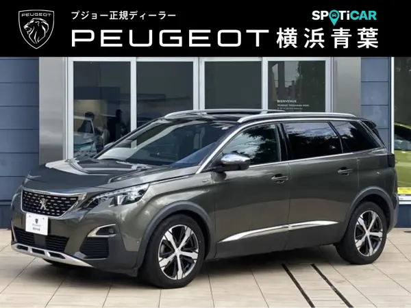 2019 Peugeot 5008 — photo 1