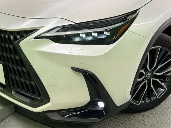 2023 Lexus Nx — photo 8 | Tuminion Kenya